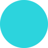Refined Diagnostics Logo