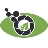 Pheno Inspect Logo