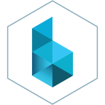 BRAIN-LINK Logo