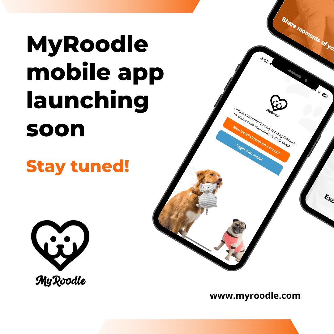 MyRoodle U.G. / startup from München / Background