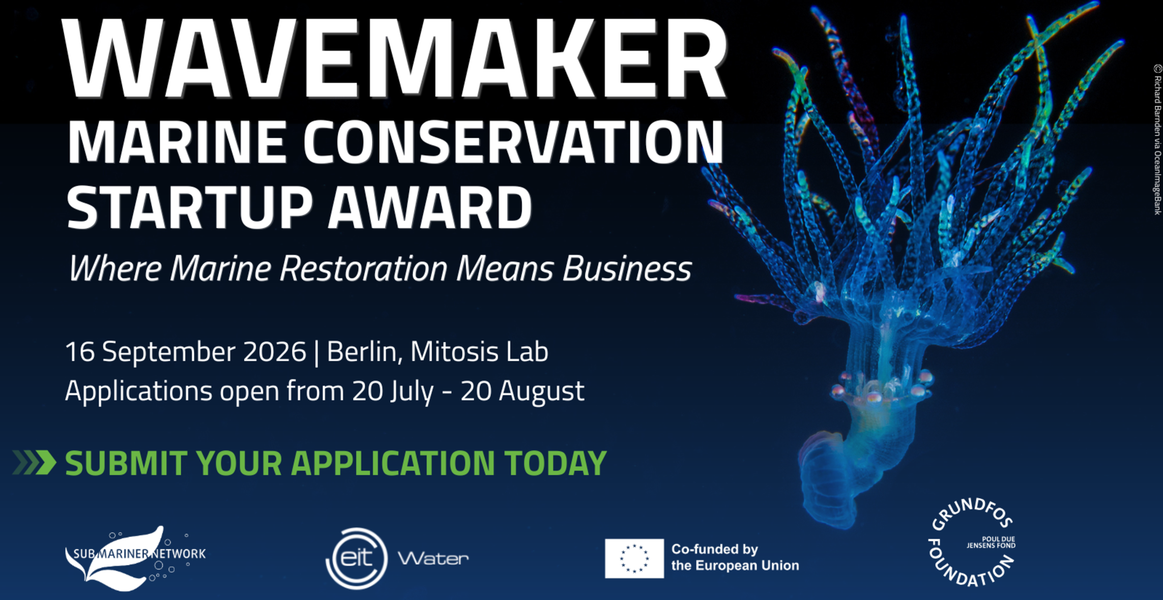 WAVEMAKER: Marine Conservation Startup Award