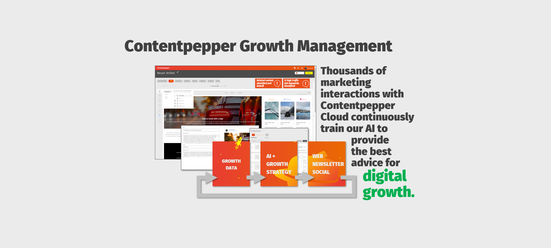 Contentpepper / startup from Leichlingen / Background