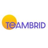 TeamBrid Logo
