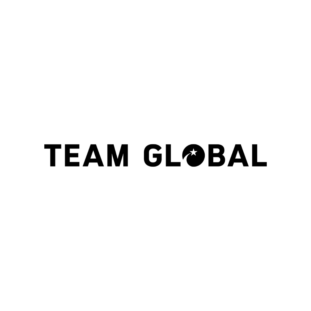 TEAM GLOBAL MANAGEMENT / investor from Berlin / Background
