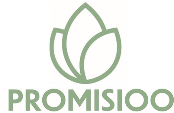 Promisioo Finance & Technology