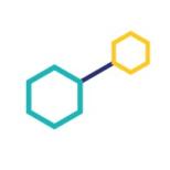 bridges+links Logo