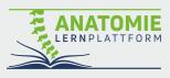 Anatomie Lernplattform Logo