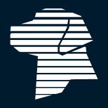 PyleHound - KI für Anwälte Logo