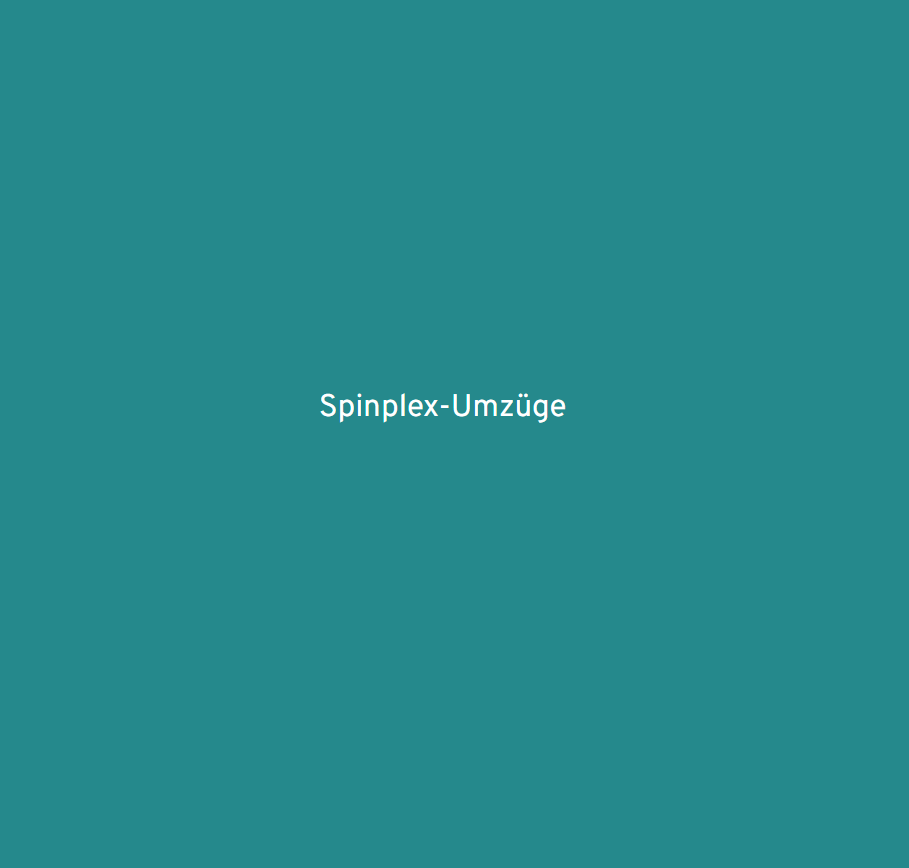 Umzugsunternehmen Deutschland / startup from Luckenwalde / Background