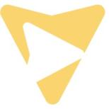 Volunteer Vision Logo