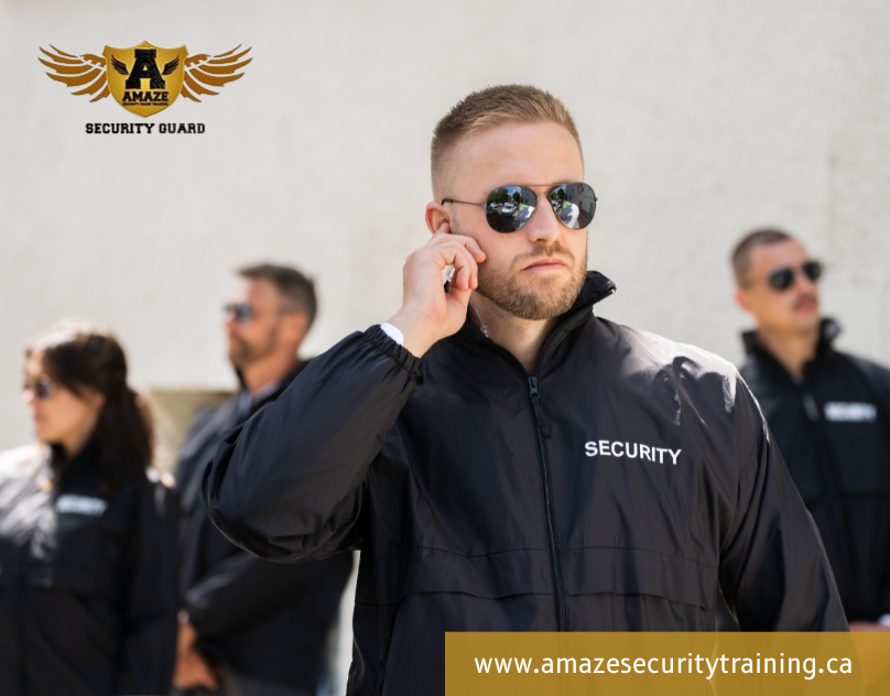 Amaze security / agency from Mississauga / Background