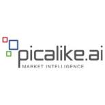 picalike Logo