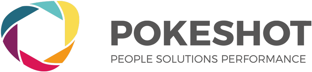 Pokeshot / startup from Berlin / Background