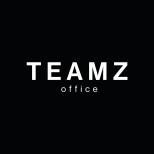 TeamzOffice Logo