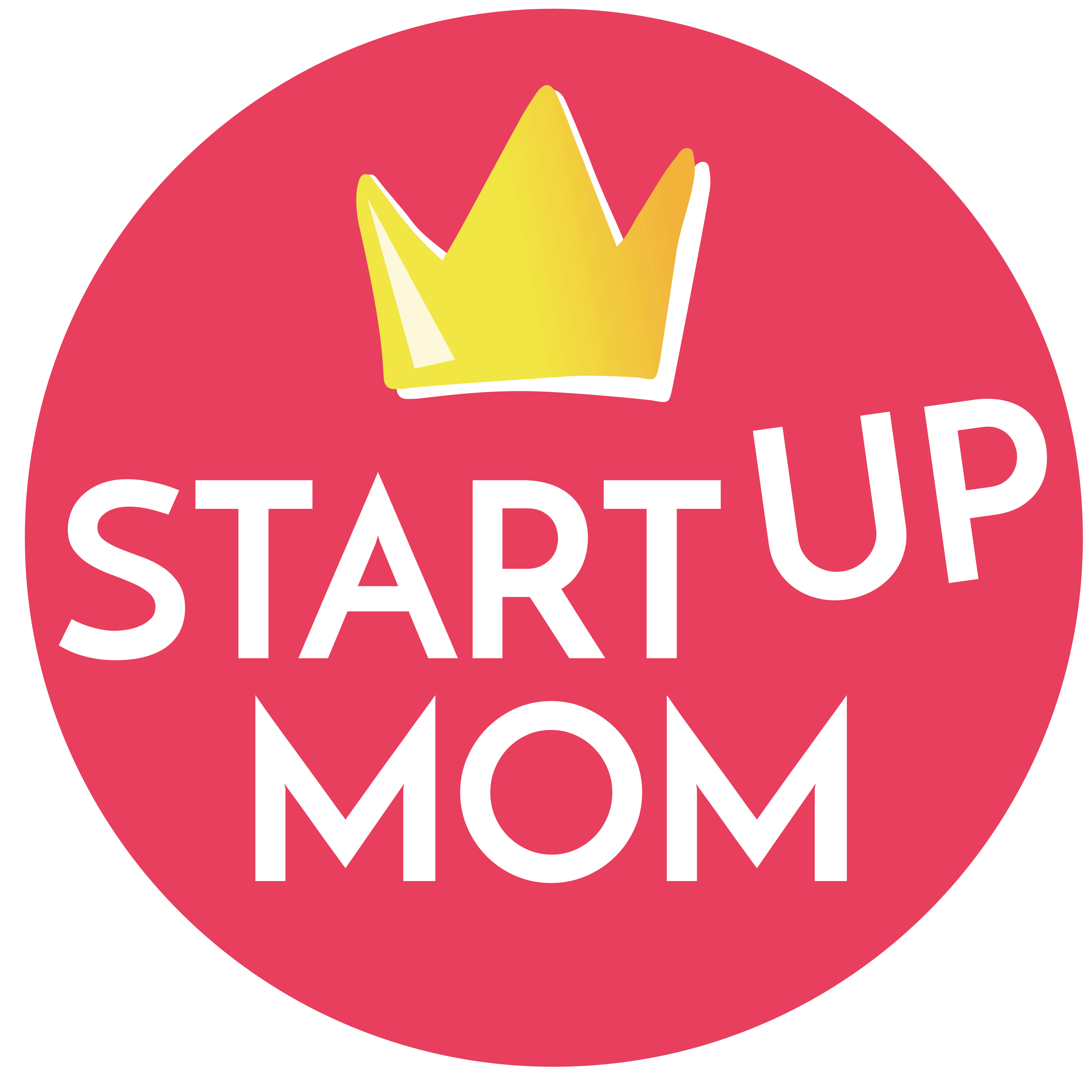 StartUp-MOM