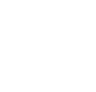 QPLIX Logo