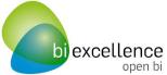 BI Excellence Logo