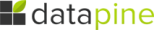 datapine Logo