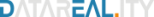 DATAREALITY VENTURES Logo