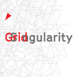 Grid Singularity Logo