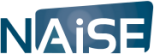 NAiSE Logo