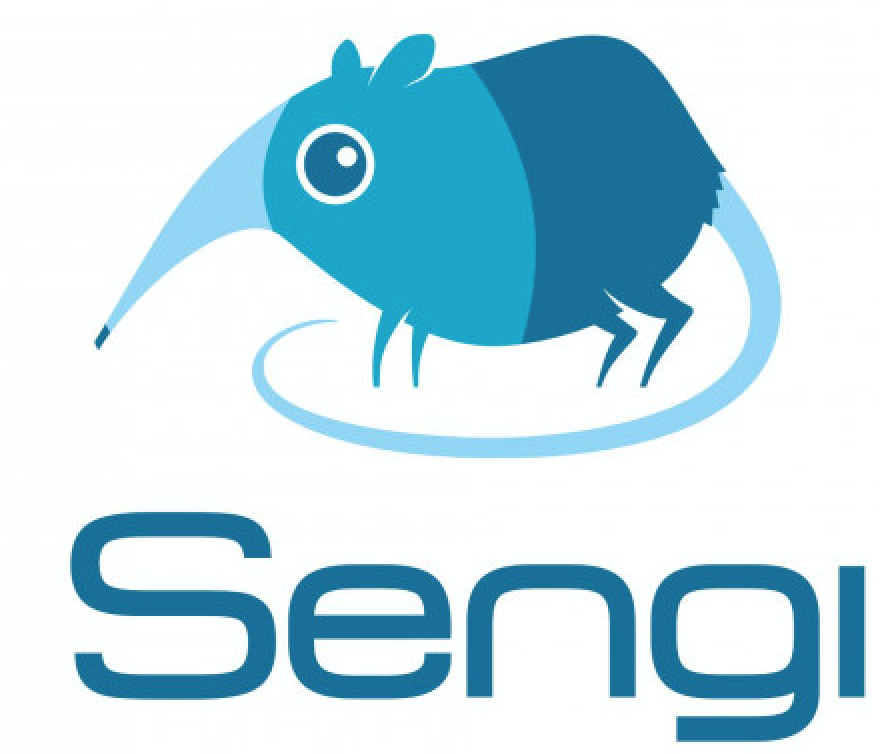 Sengi