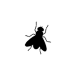 zefly.com Logo