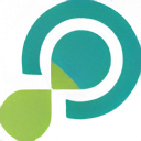 iDEL Logo