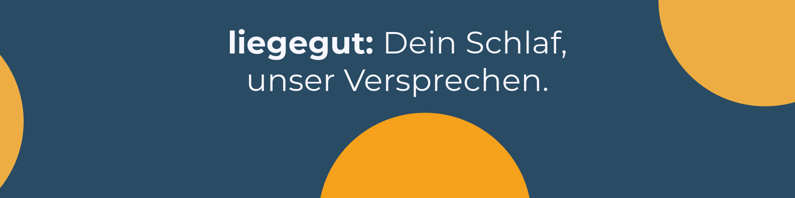 liegegut / startup from Ulm / Background