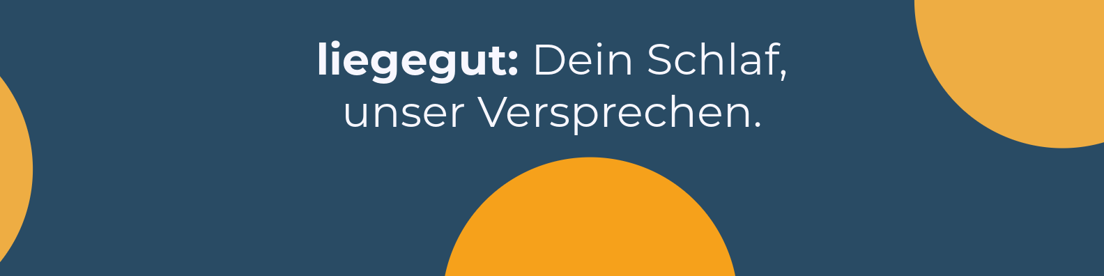 liegegut / startup von Ulm / Background