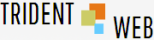 SEO, Digital Marketing Services in Pune, India : Trident Web Infoservices Logo