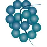 Booster Therapeutics Logo