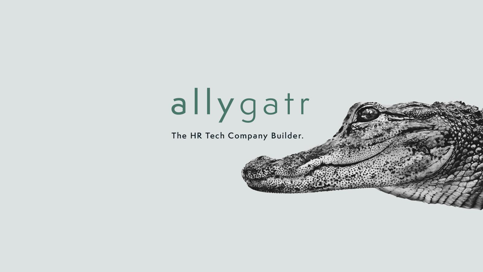 allygatr / investor from Berlin / Background