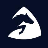 Paycer Logo