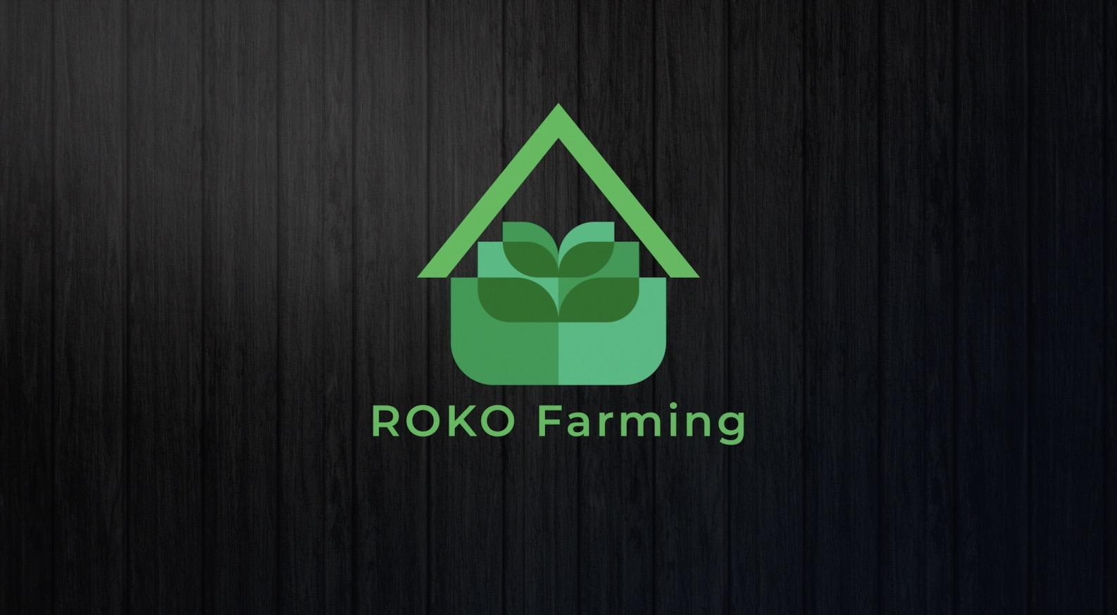 ROKO Farming / startup from Ulm / Background