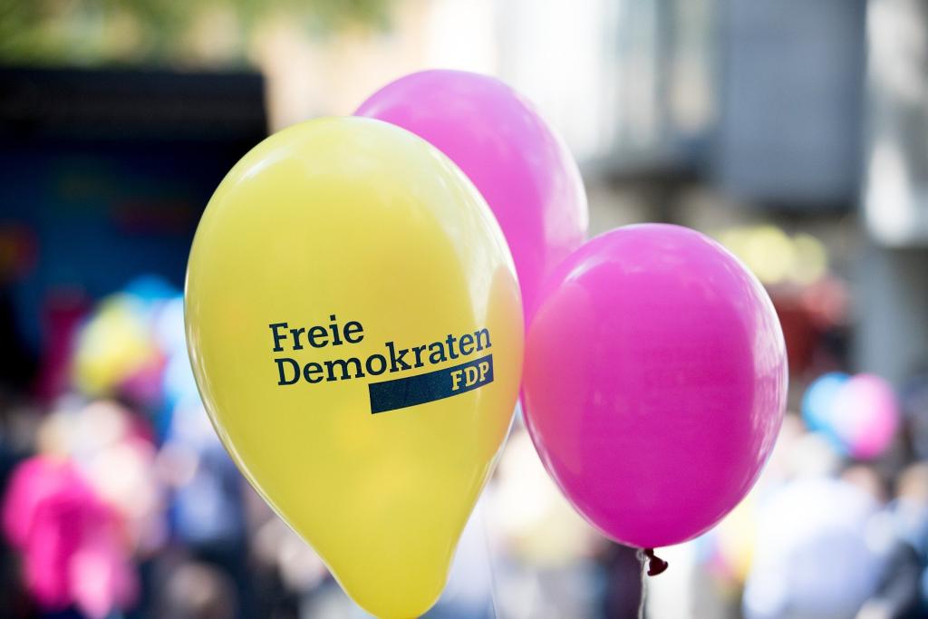 Start-up Unternehmer spenden halbe Million Euro an FDP