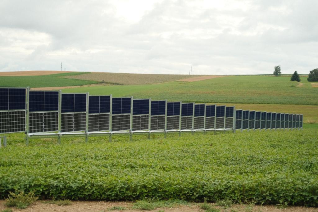 feld.energy sammelt über 10 Mio. Euro in Seed-Runde ein