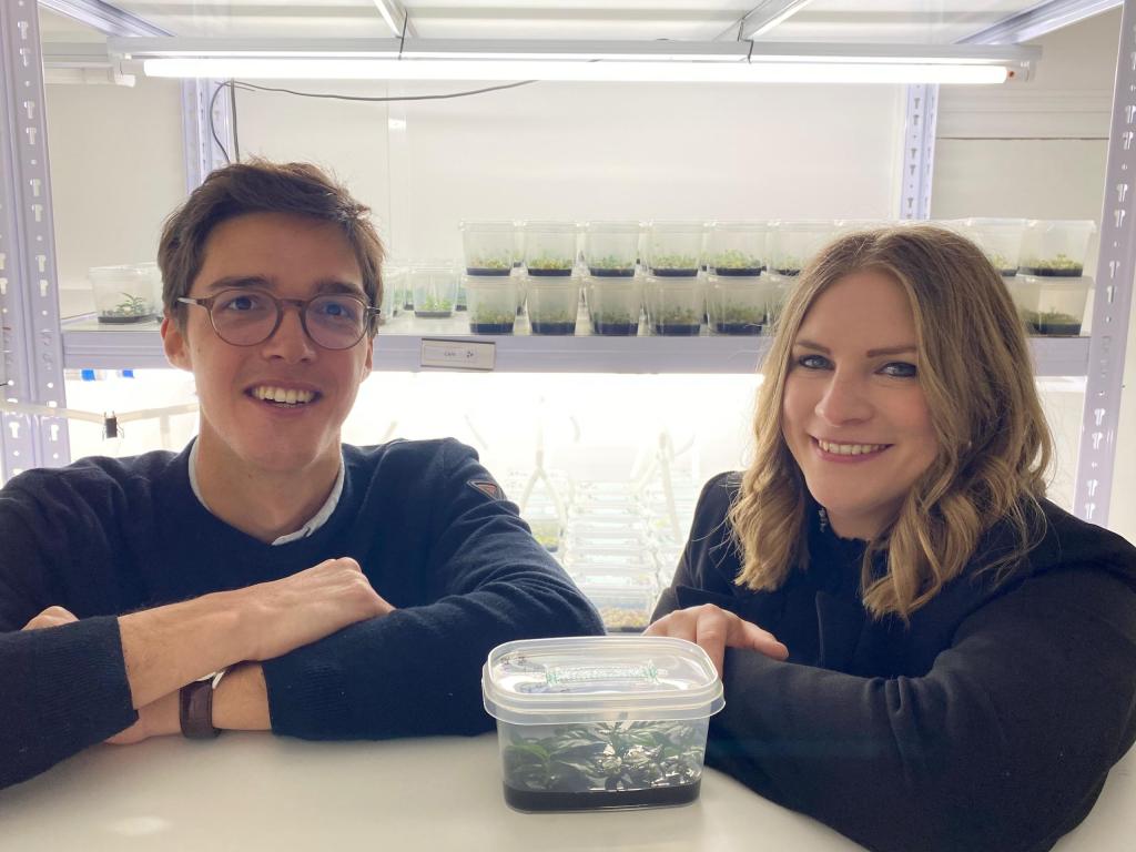 Amatera sichert 6 Mio. € Seed