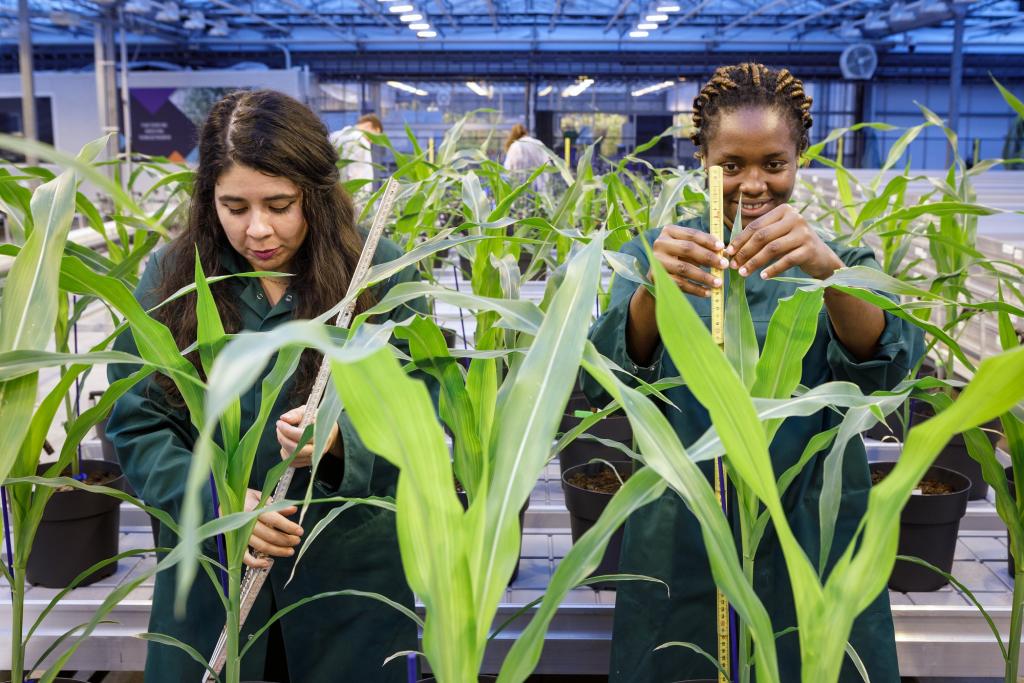 Zymofix Receives 1.9 Million Euros in Funding for Research on Biological Agricultural Solutions