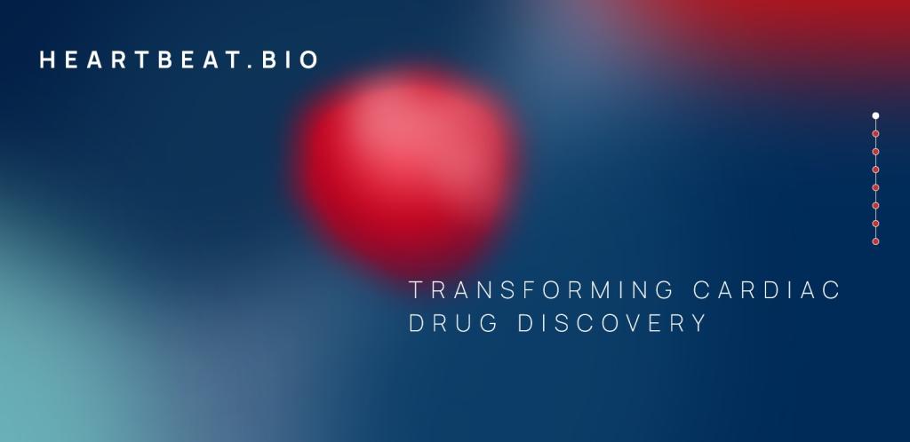 HeartBeat.bio und Cubase Bio erhalten eine Million Euro für 3D-Analyse von Herzerkrankungen