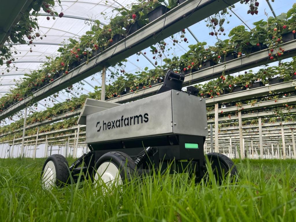 hexafarms erhält 4,8 Millionen Euro für KI-gestütztes Greenhouse-Monitoring