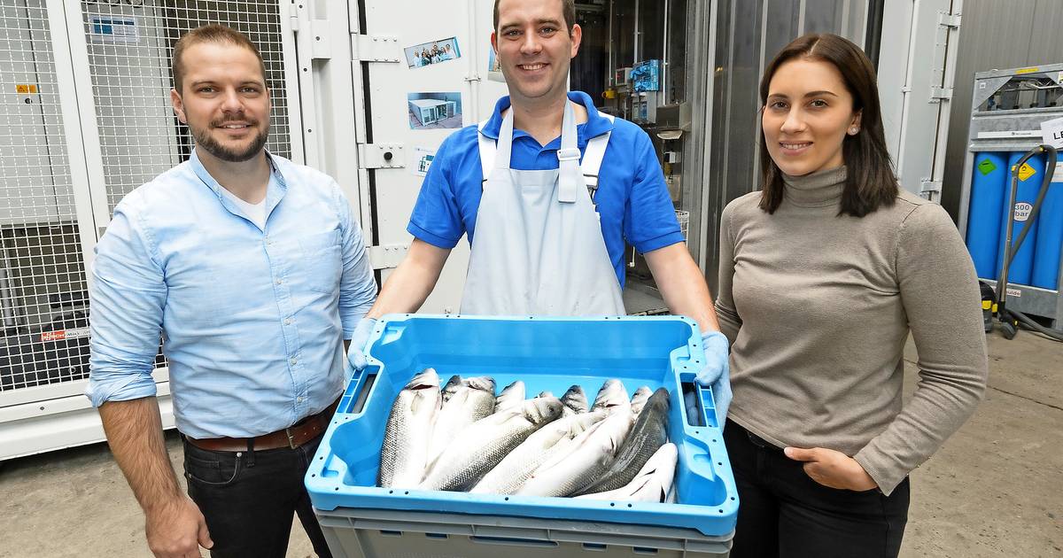 Seawater Cubes baut im Saarland vollautomatisierte Fischzuchtanlagen