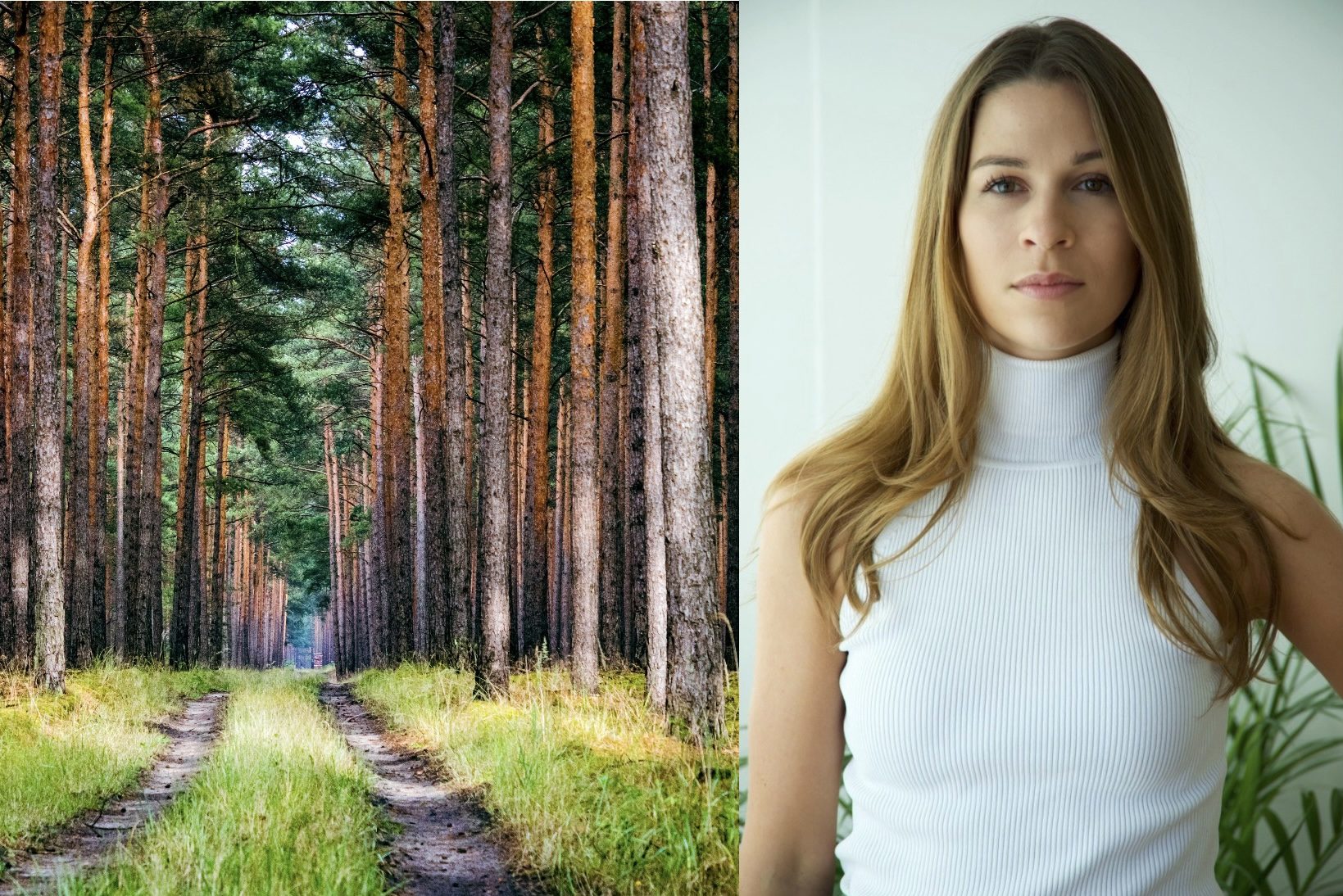 Ihr Startup lässt dich in Wald investieren und überzeugte Alexander Samwer