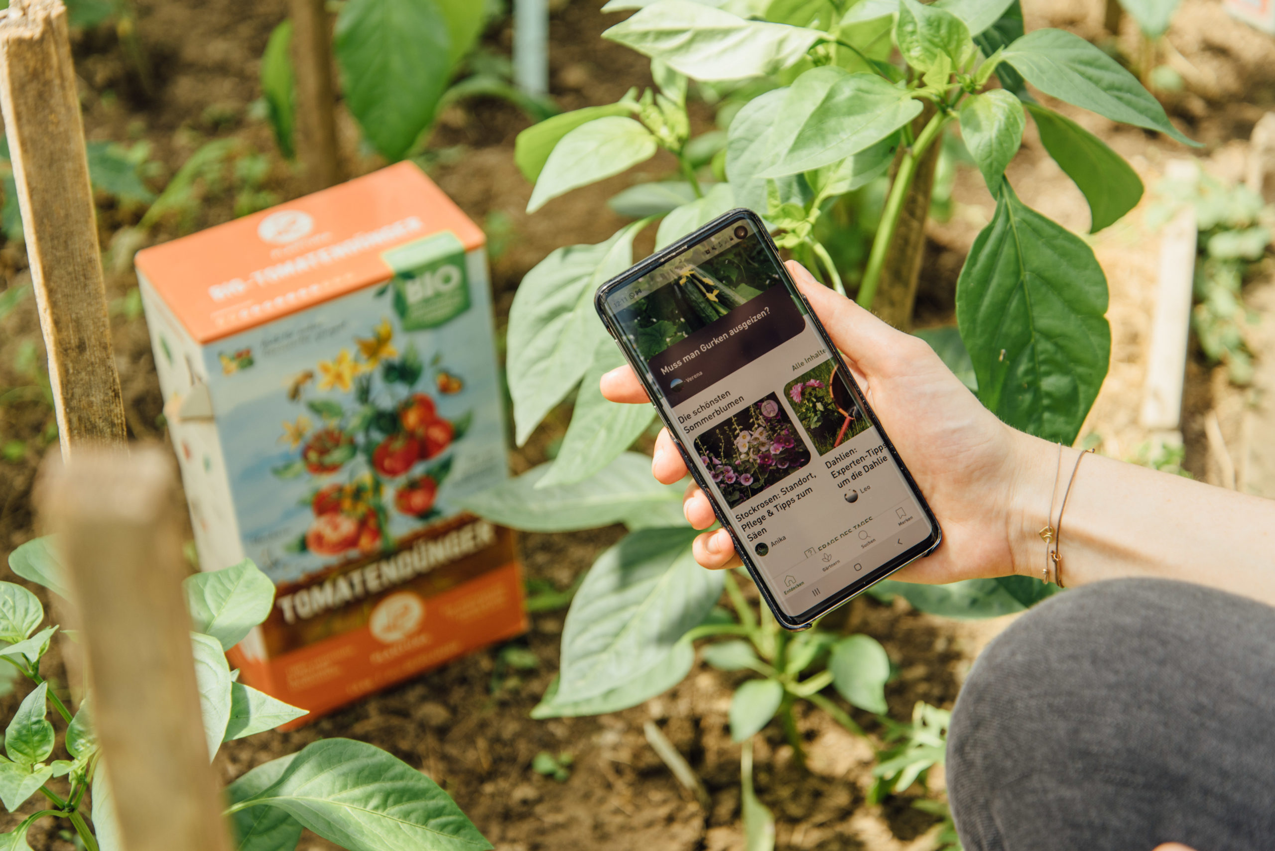 Wie der Gärtner-Shop Plantura zum Hidden Champion der Startup-Szene aufsteigt