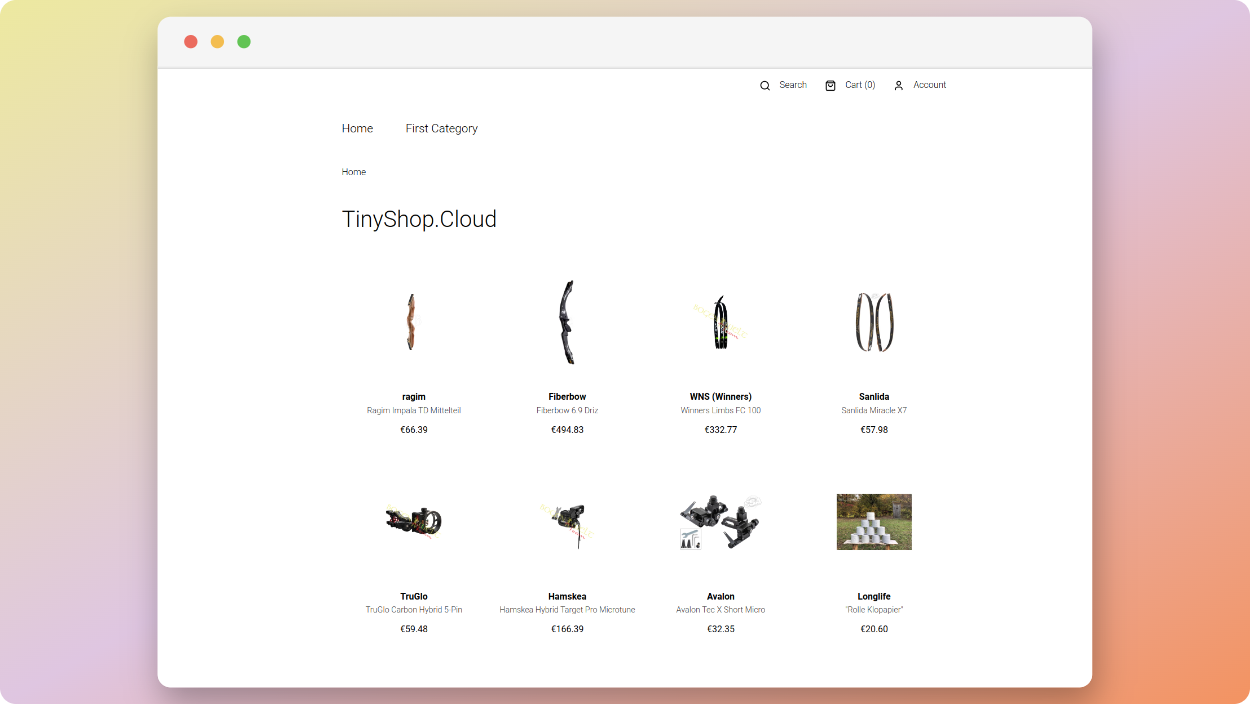 TinyShop.cloud / startup from Kirchentellinsfurt / Background